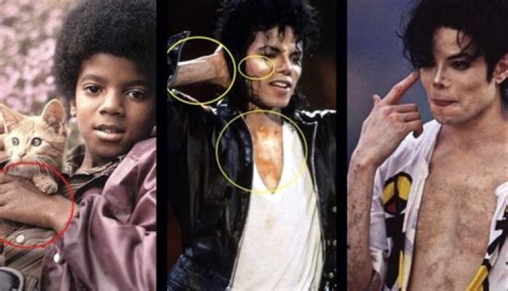 What happened to Michael Jackson's pets?