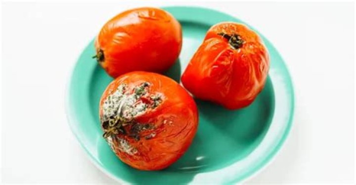 What happens if you eat a whole ghost pepper?