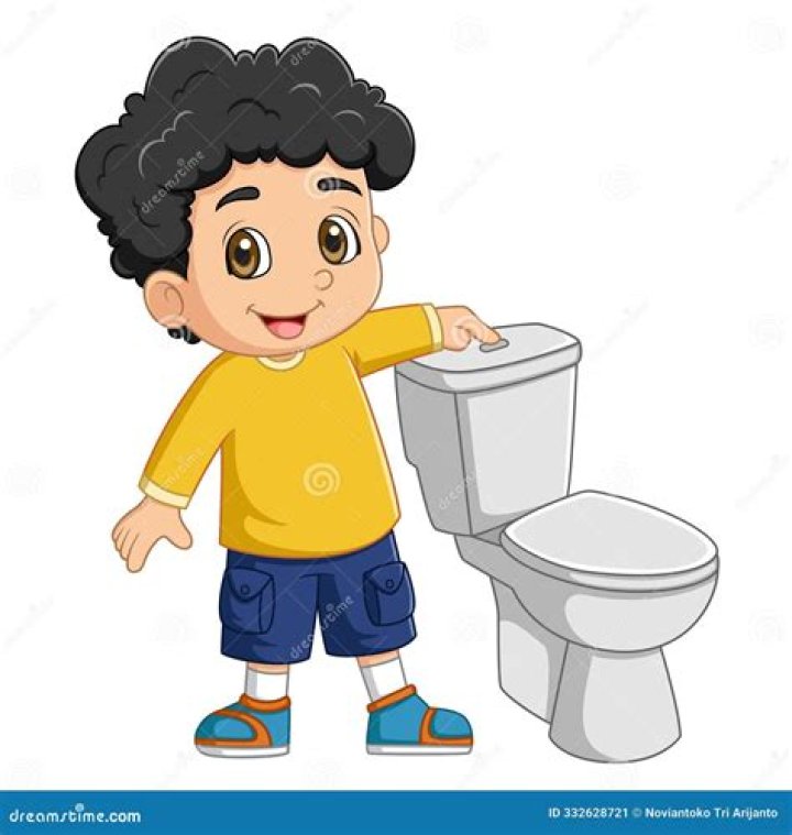 What happens to water flushed down the toilet?