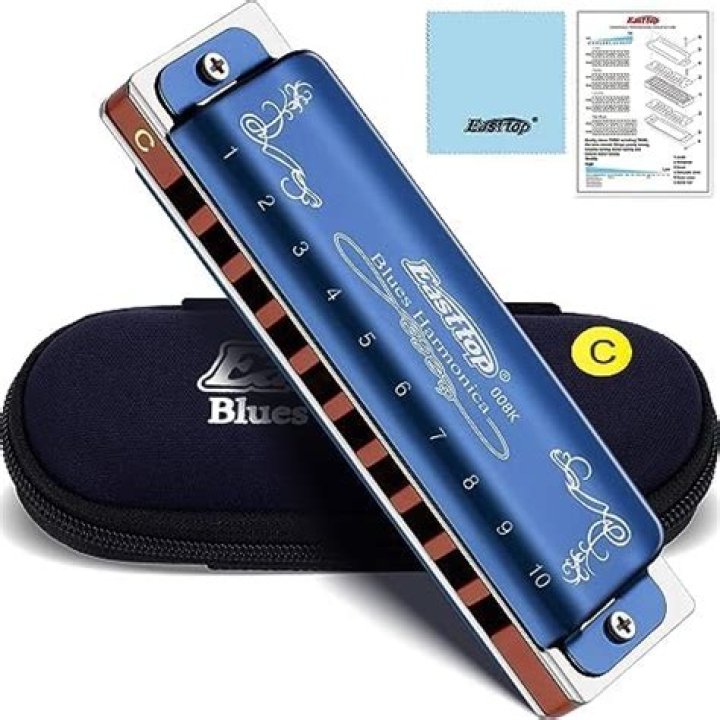 What harmonica should I buy?