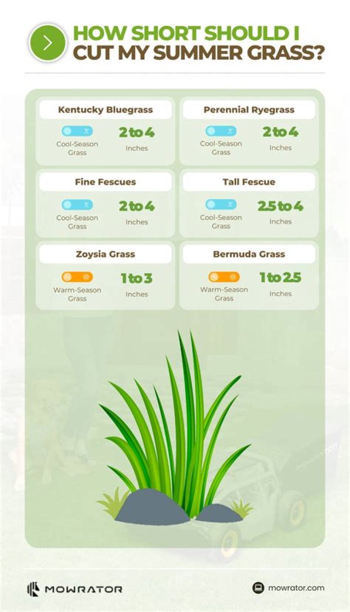 What height should grass be cut in summer?