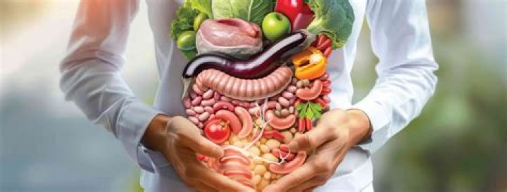 What helps clean your digestive system?