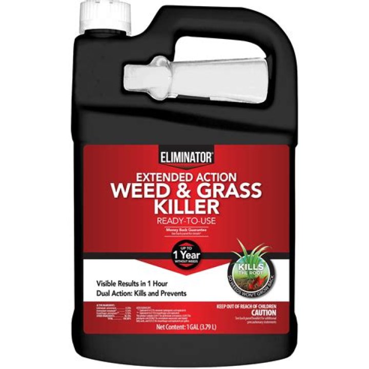 What herbicide kills asparagus fern?