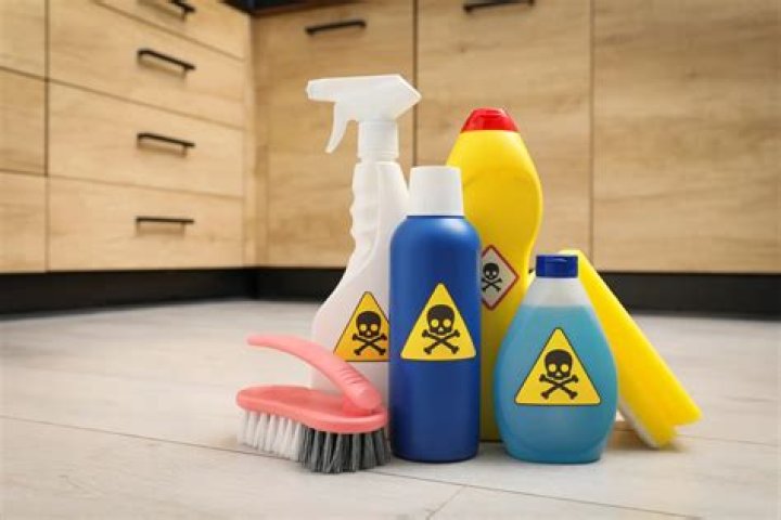 What household items are toxic?