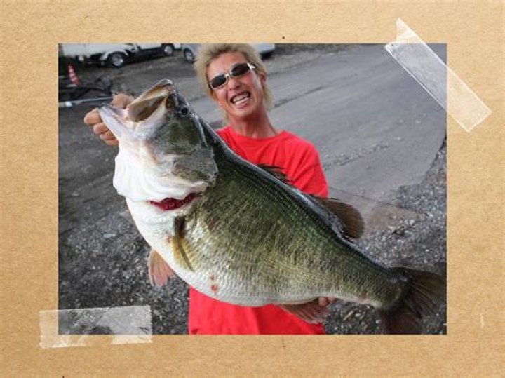 What is .8lbs in Oz?