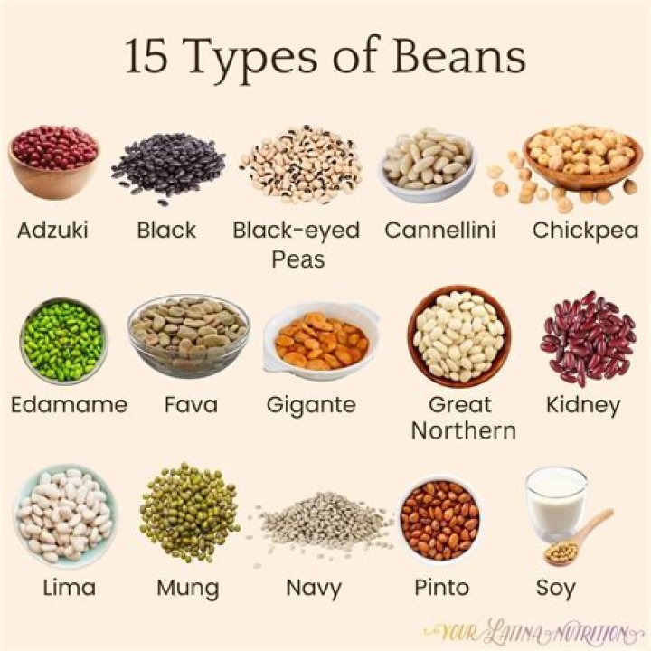 What is a bean in drug slang?