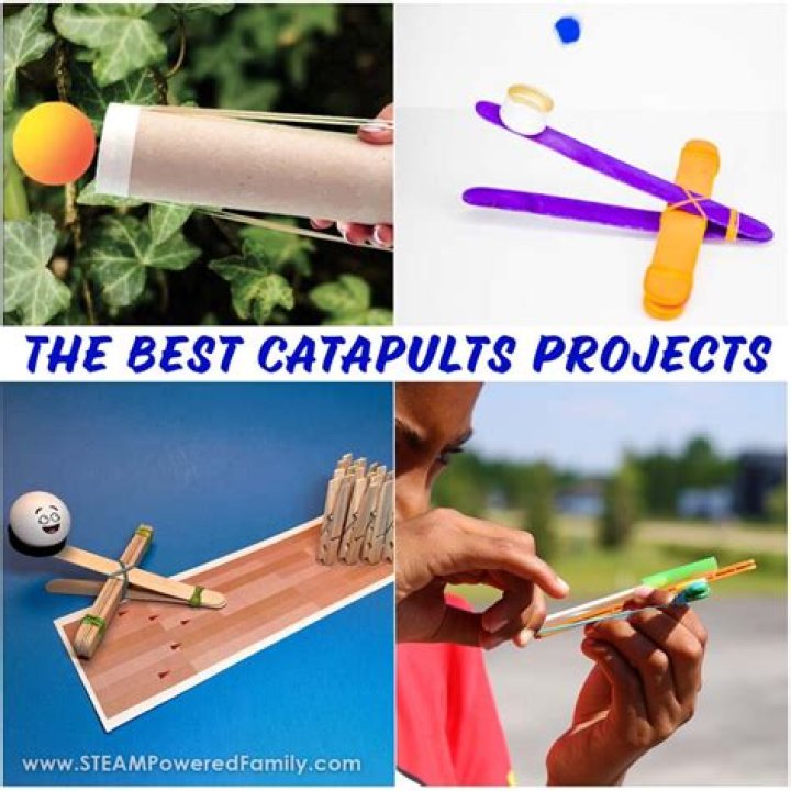 What is a catapult kid definition?