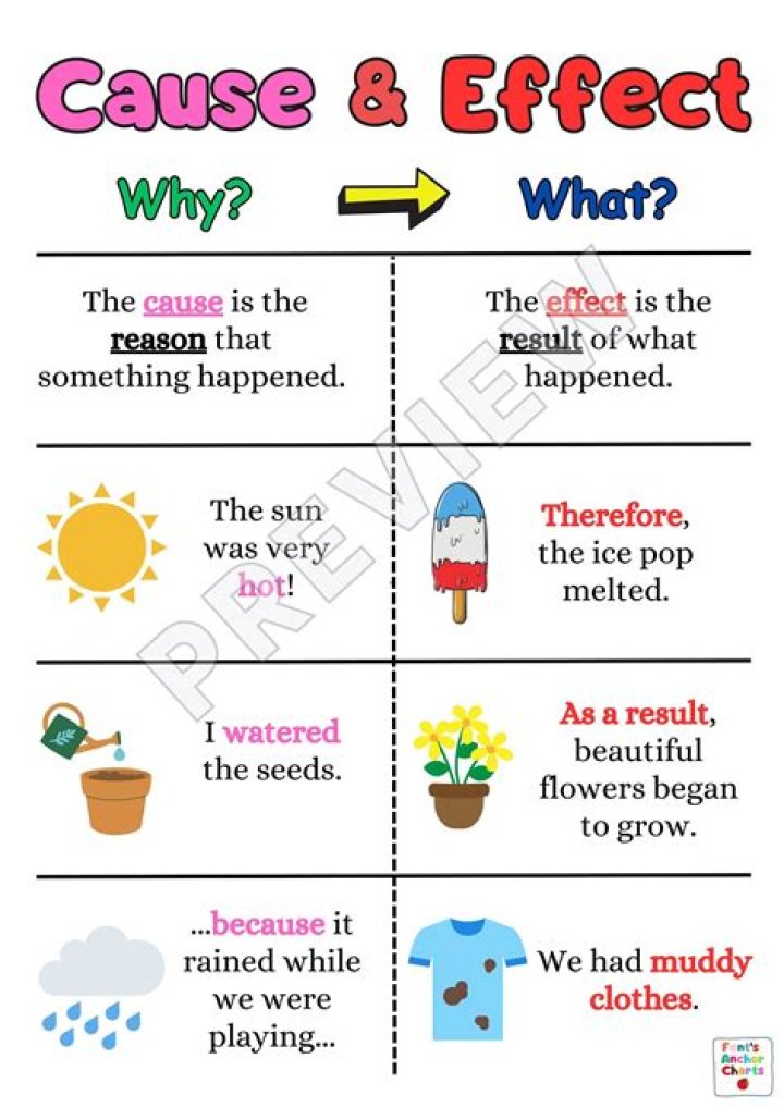 What is a cause and what is an effect?