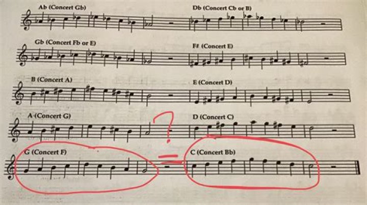 What is a concert critique?