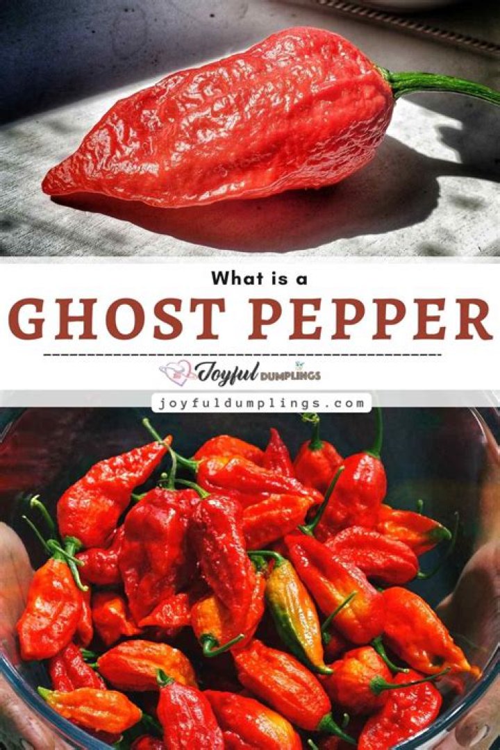 What is a dried ghost pepper called?
