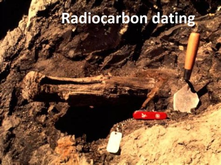 What is a good dating headline?