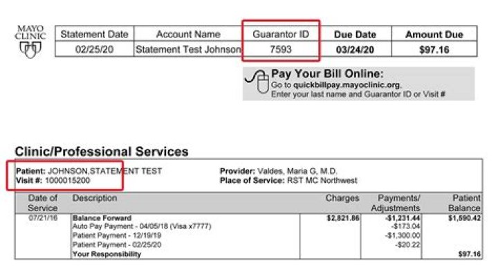 What is a guarantor number on a medical bill?