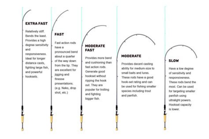 What is a guide on a fishing rod?