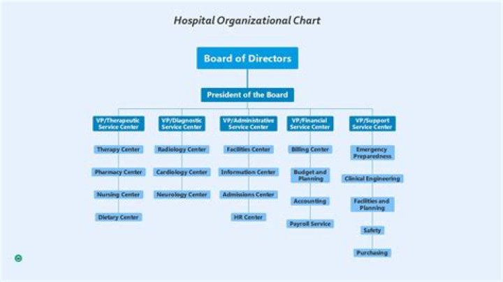 What is a hospital organizational chart?