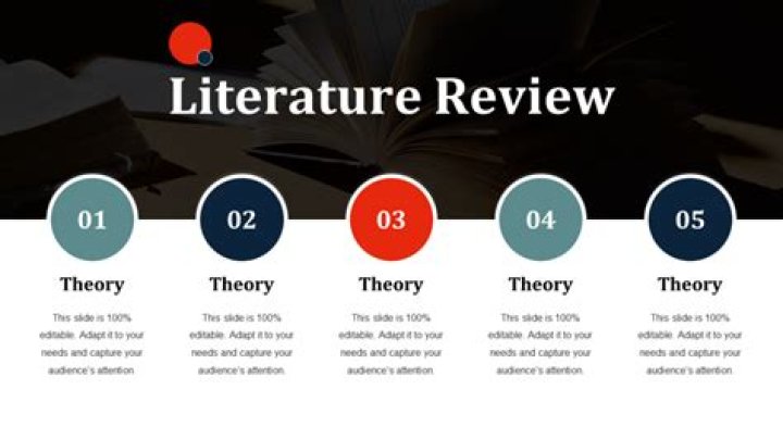 What is a literature review PPT?