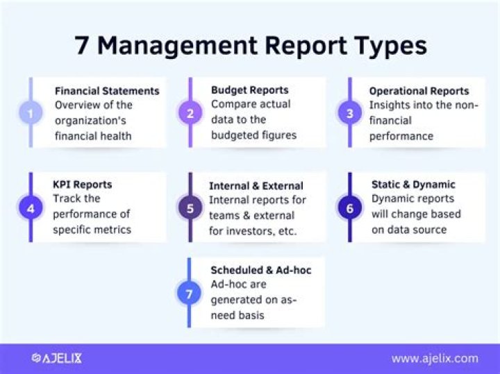 What is a management report?