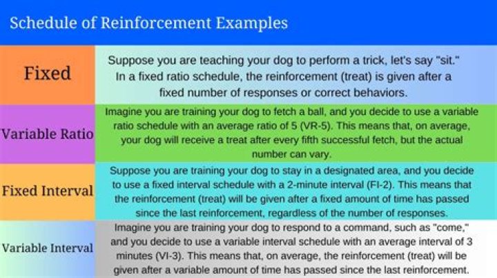 What is a multiple schedule of reinforcement?