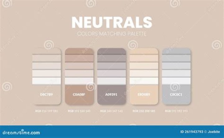 What is a neutral color scheme?