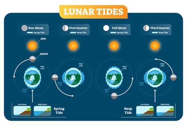 What is a ocean tide?
