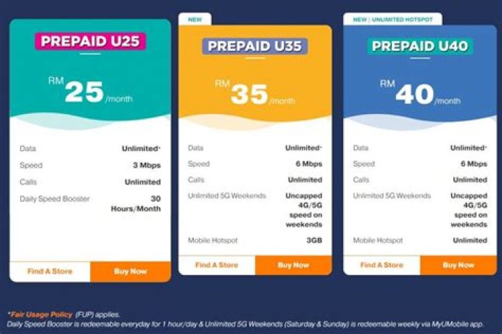 What is a prepaid plan mean?