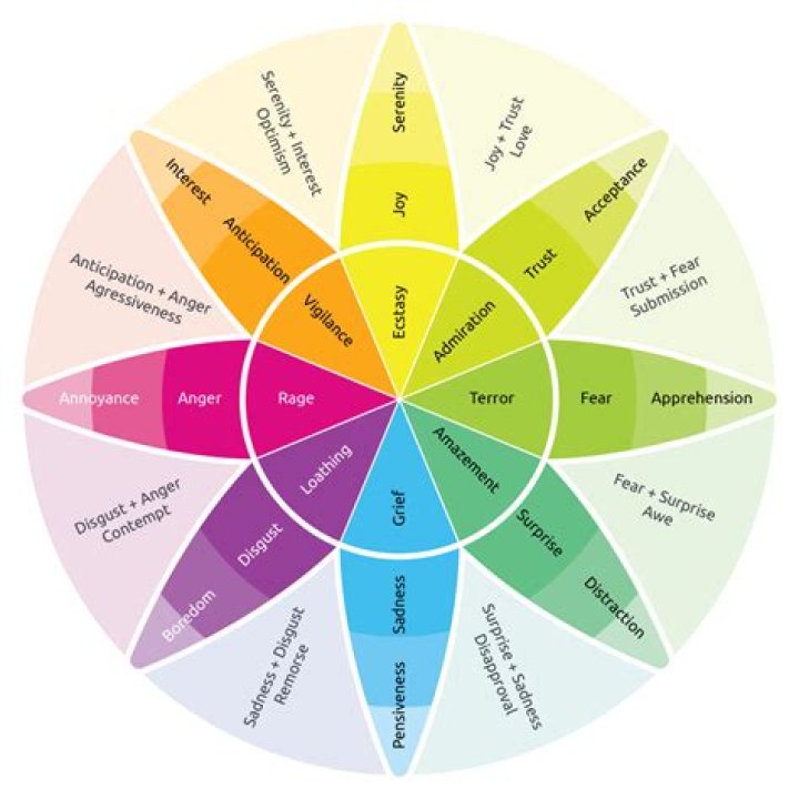 What is a spectrum wheel?
