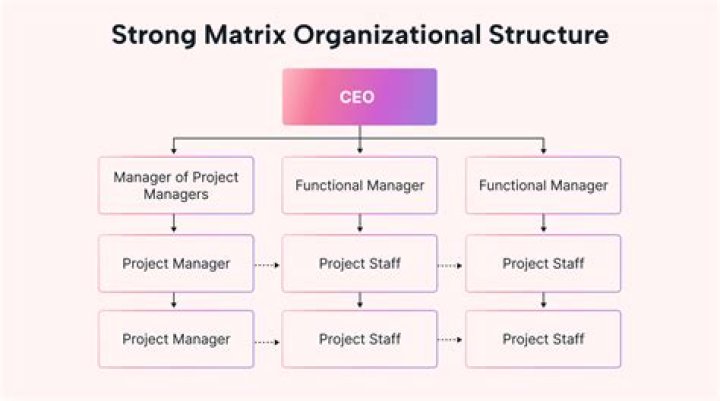 What is a strong matrix organization?