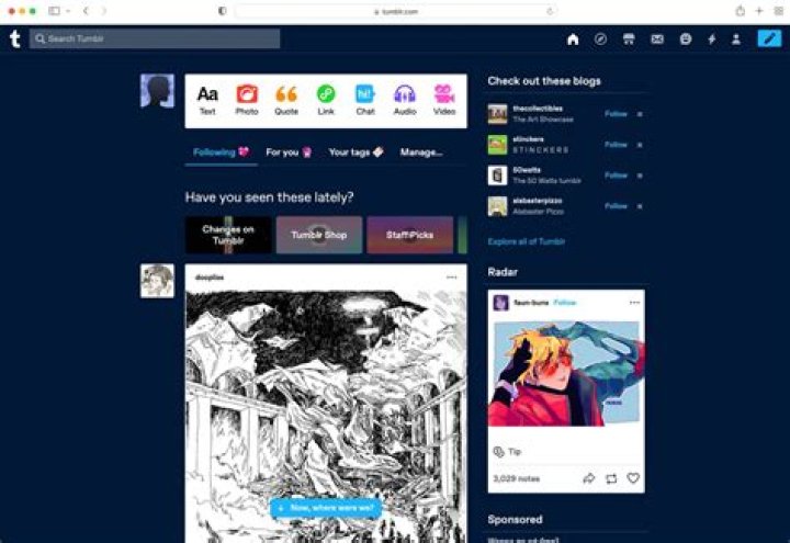 What is a Tumblr blog?