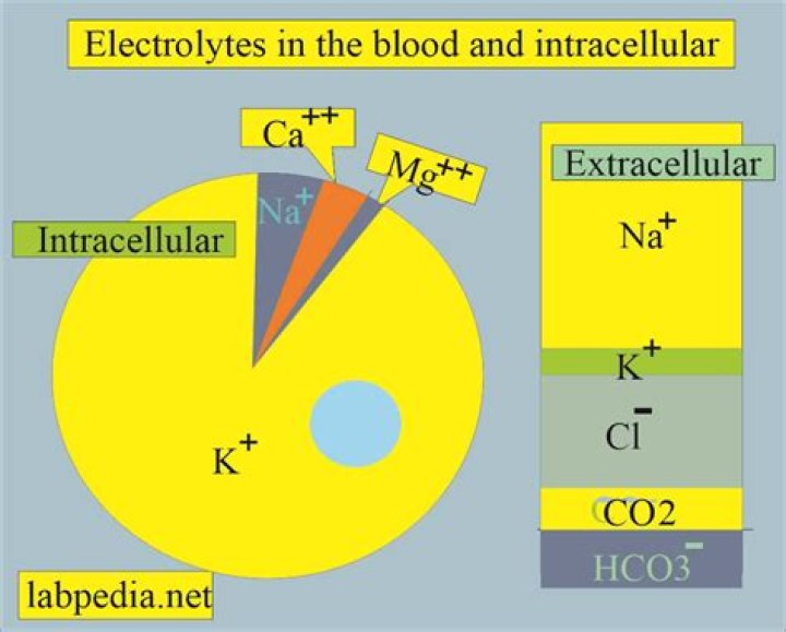 What is activity of electrolyte?