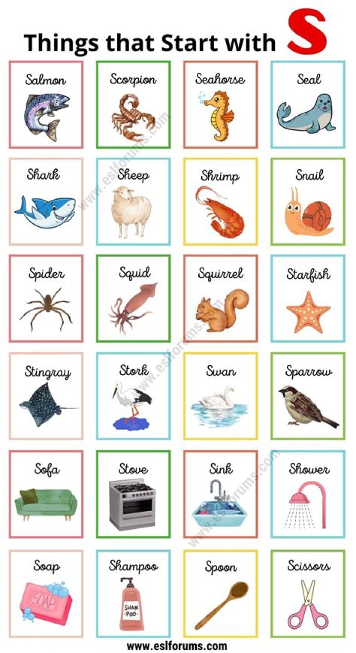 What is an adjective that starts with R?