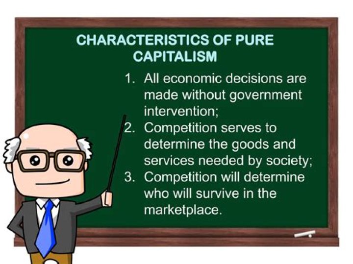 What is an advantage of pure capitalism?