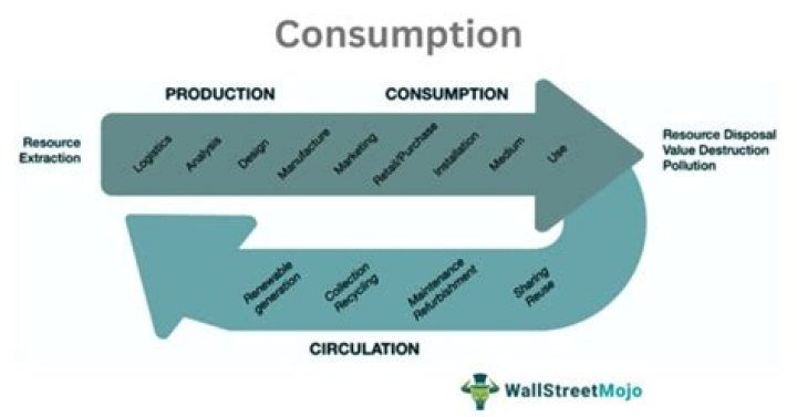 What is an example of consumption in economics?