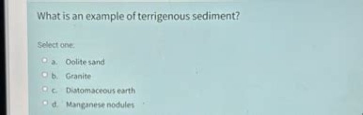 What is an example of terrigenous sediment?