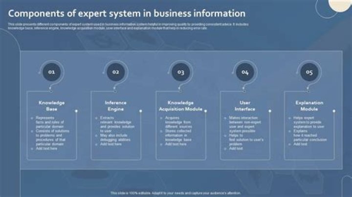 What is an expert system in business?