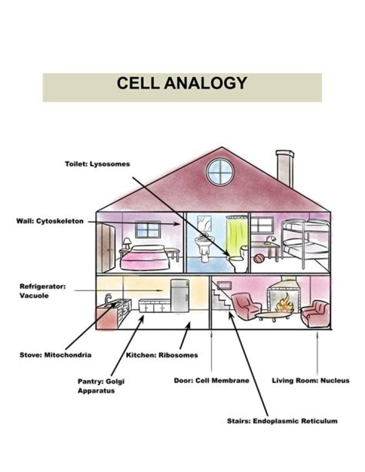 What is analogy and example?
