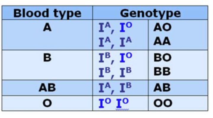What is blood genotype?