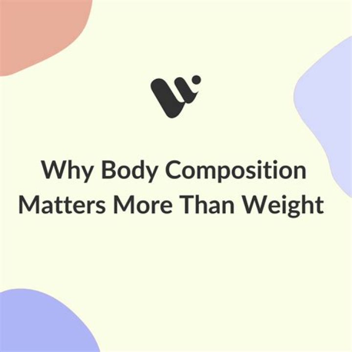 What is body parser NPM?