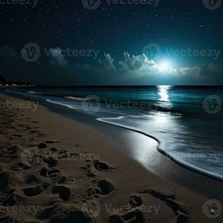 What is called the sound of sea which is heard at night on sea shore?