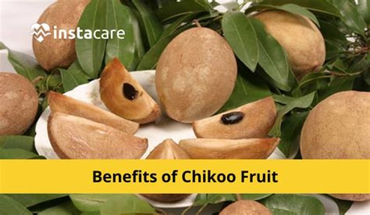 What is Chico fruit English?