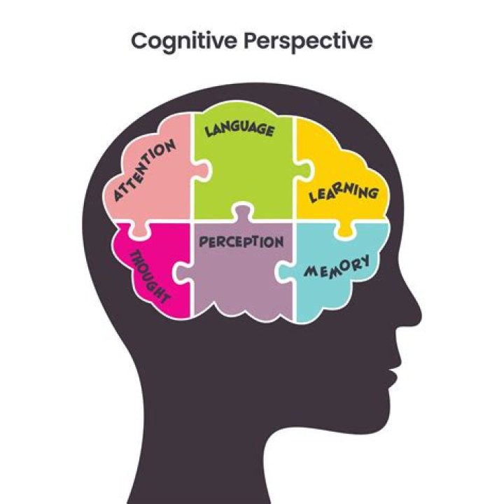 What is cognitive system?