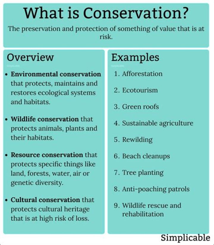 What is conservation life? | ContextResponse.com