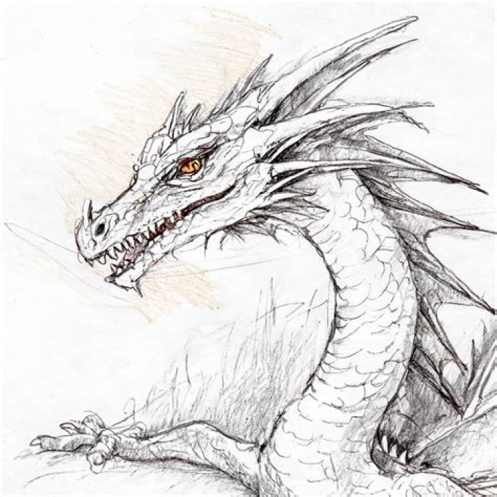 What is considered a dragon?