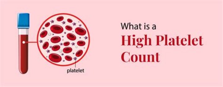 What is elevated platelets called?