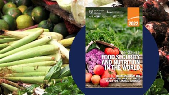 What is food and nutrition course in high school?