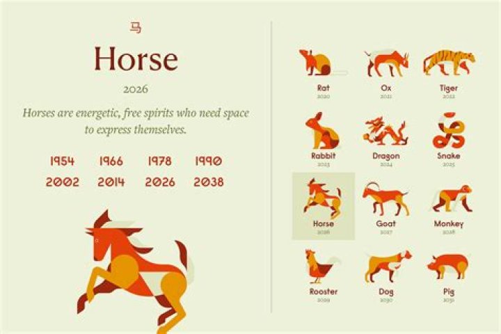 What is horse face?
