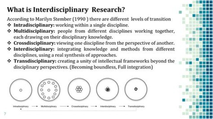 What is Intradisciplinary?