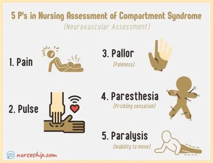 What is involved in a neurovascular assessment?