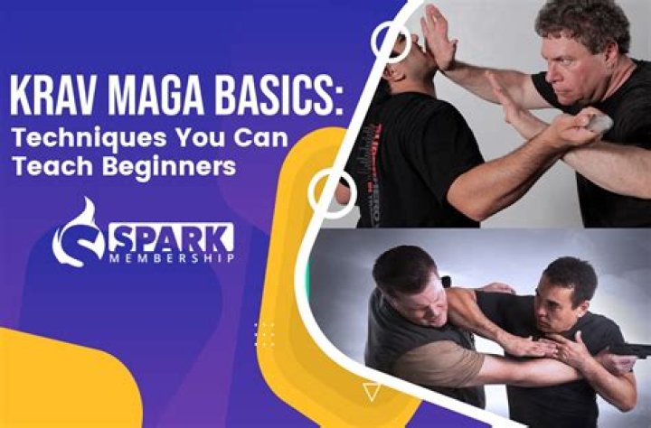 What is Krav Maga classes?