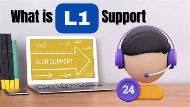 What is l0 l1 l2 l3 support?