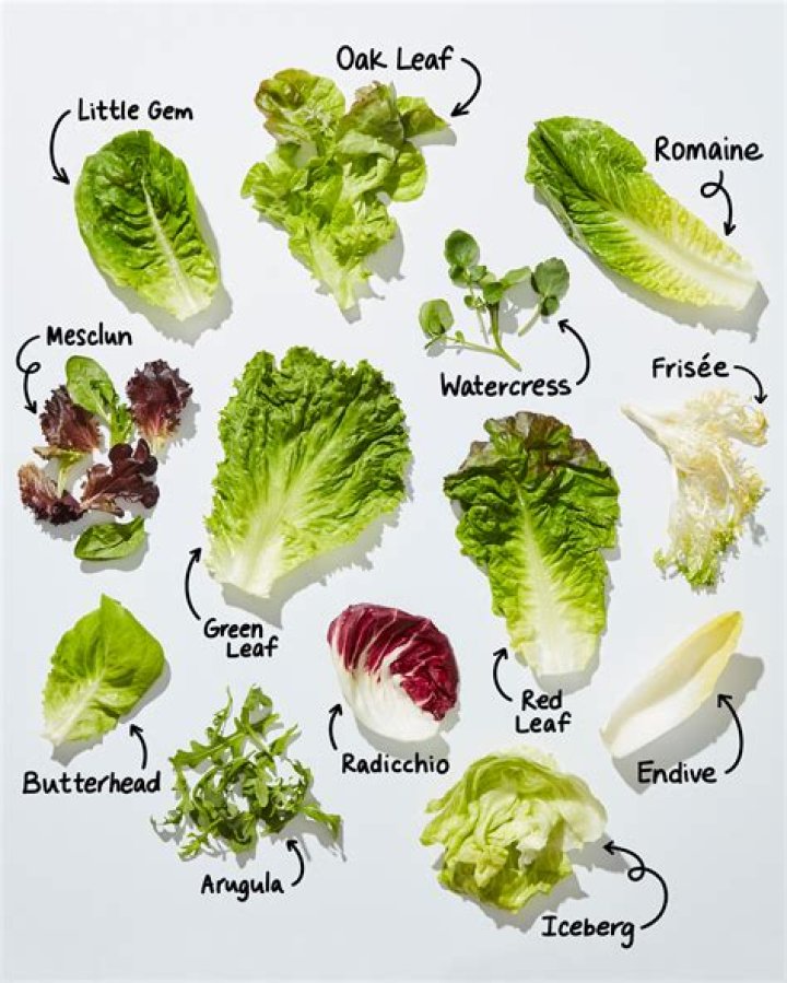 What is lettuce called in India?
