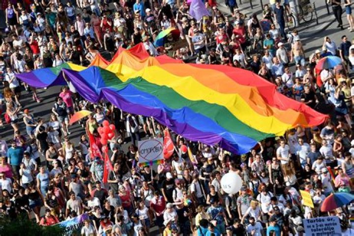 What is Lgbtqy?